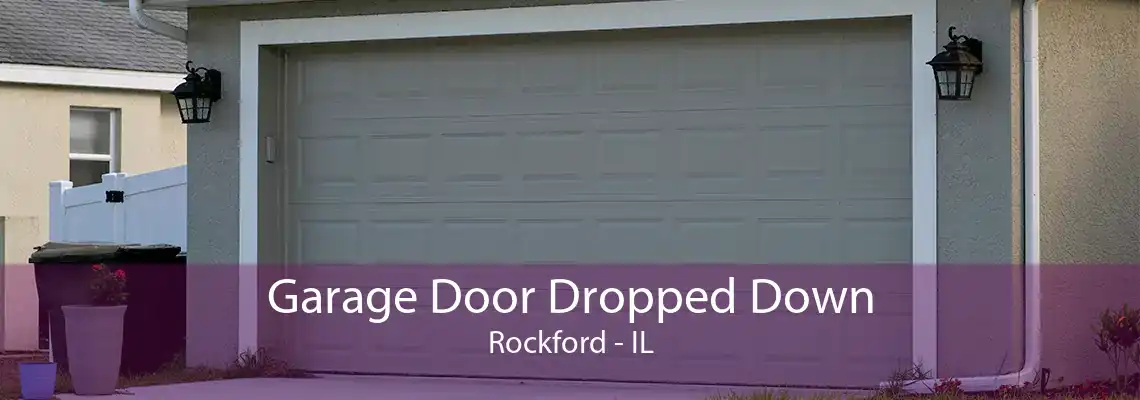 Garage Door Dropped Down Rockford - IL