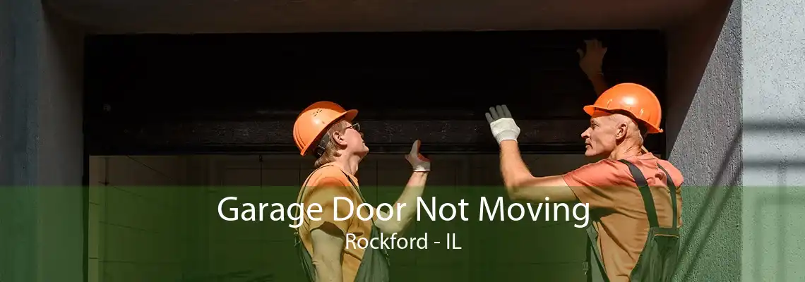 Garage Door Not Moving Rockford - IL